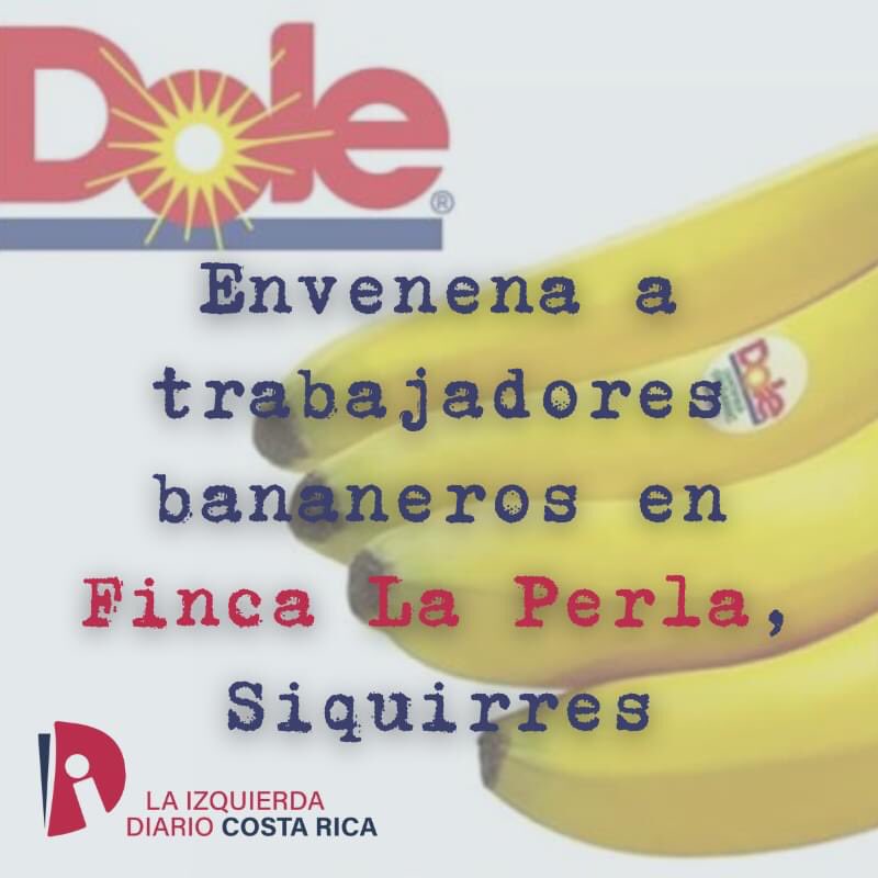 Fernanda Quirós Moya tweet media