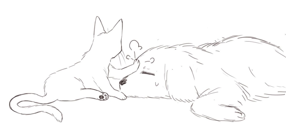 foxnote1's tweet photo. 端午节营业一下 https://t.co/MCXfjCBwdB