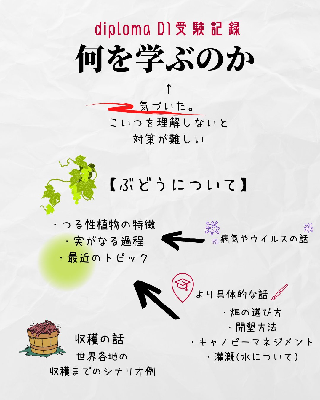 Garyu Ibuki Diploma受験 まずは全体像を整理 本当におおまかだけど 俯瞰してみるとlevel3の掘り下げがほとんど ざっくり1周読んだので次は各トピックスの重要な点を抑えて 英語で簡単に書けるようにしていきます それから 点の知識を繋げて論理的