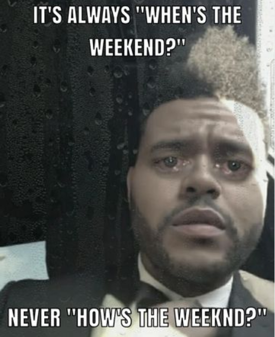 BunTopic's tweet photo. i relate to these images. they go hard. feel free to ss. https://t.co/a51dQ7yv7F