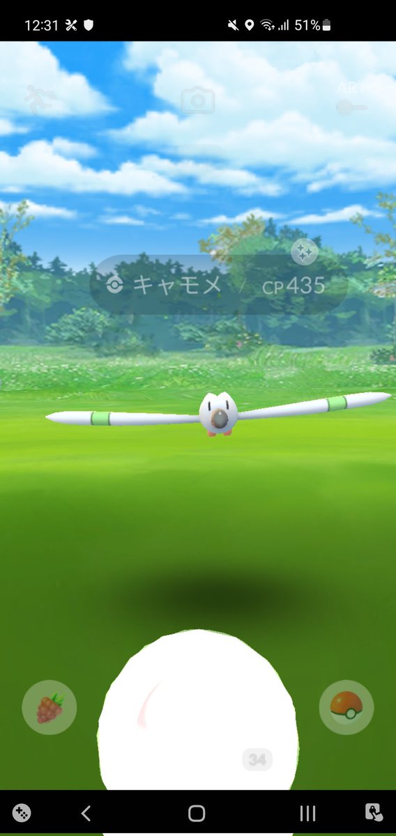 ダイパリメイク キャモメのおぼえる技 種族値 特性など能力と進化系統 入手方法 ポケモンbdsp 攻略大百科