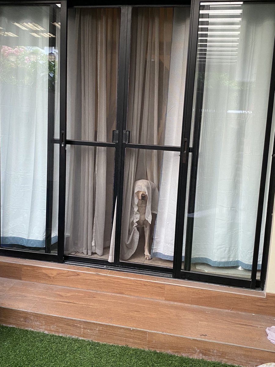 BellaExplora's tweet image. Today’s adventure… I can see ghosts 👻