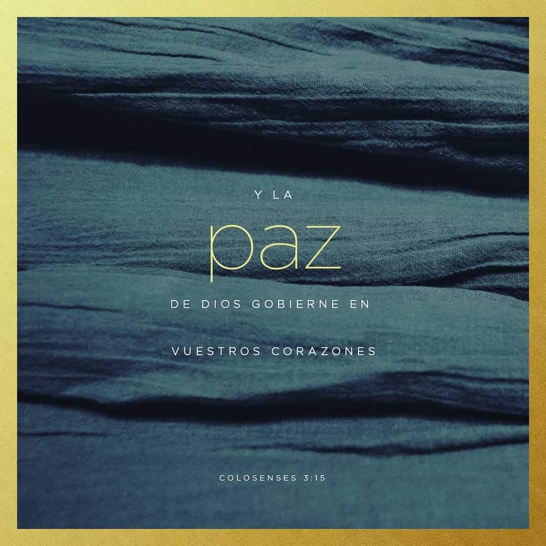 eliezergtz2's tweet photo. Los montes pueden moverse, las colinas temblar, pero el amor de nuestro Dios es constante. Es por ello que seguimos adelante caminando por la senda que nos ha enseñado con amor inalterable. #SiempreUnidos https://t.co/j3ku4KCvb5