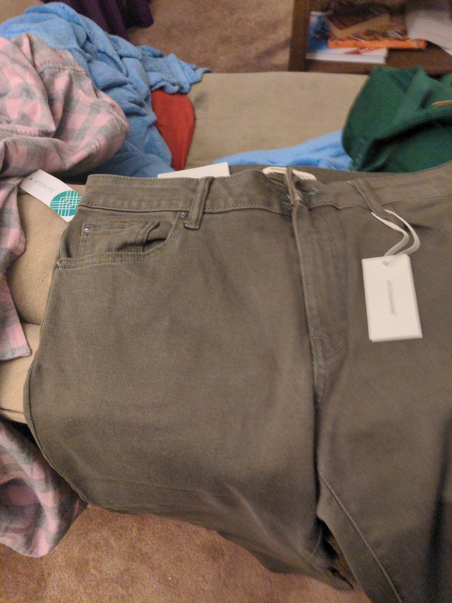 What color are these pamts https 