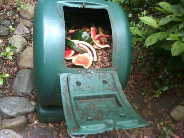 MontesYndiana's tweet photo. Desde que era así de voluptuosa, me abocaba a lidiar con el compostero🤣🤣🤣
#compost #compostero #composting #composta
#DiaMundialDelMedioAmbiente #yndianamontesenvironmentalpr https://t.co/SZjnSN2XsJ