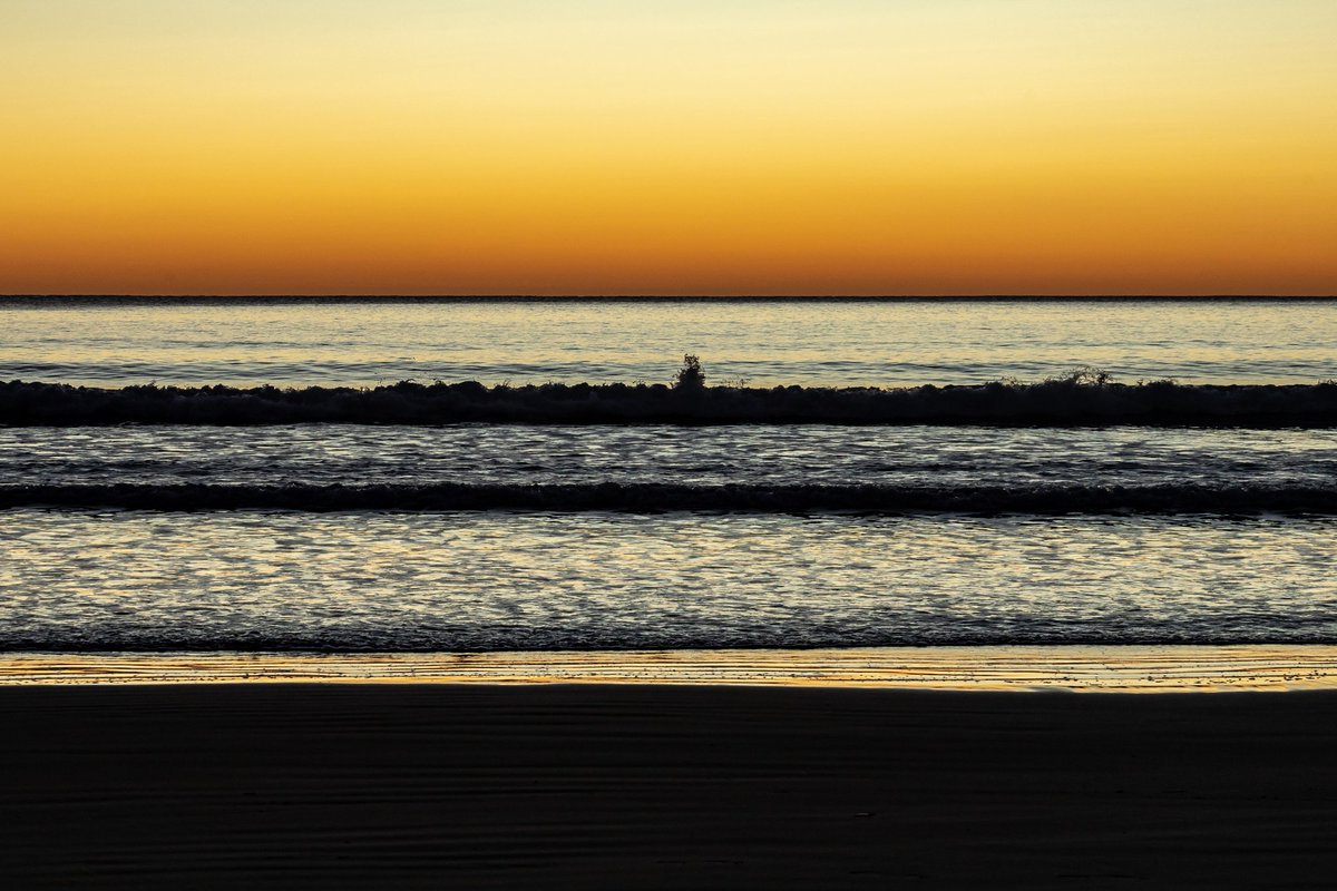 HardingGruff's tweet photo. Also from this morning... A couple of hours well spent #photographyislife #photographylovers #capture #moment #photographyisart #StormHour #dunedinnz #earth_shotz #goldenhour #canonnz #capturenz #purenz #landscape https://t.co/1pR08rVGfY