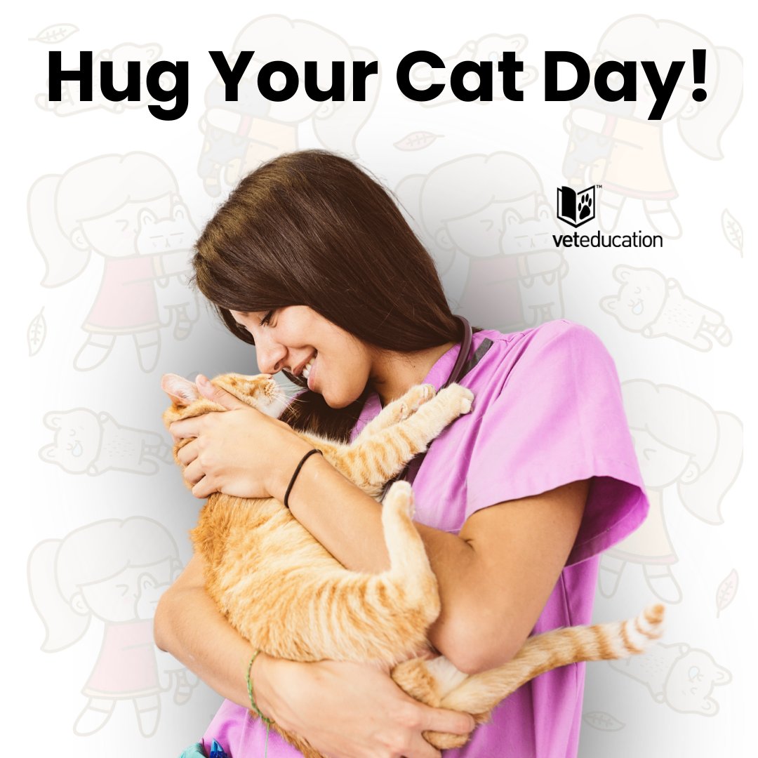 veteducation's tweet photo. It's Hug Your Cat Day!

Make sure you give your feline friends an extra squeeze today... if they will let you 😉

#Cats #hugyourcatday #vetlife #feline #vet #vetnurse #vettech https://t.co/QqwBF295JN