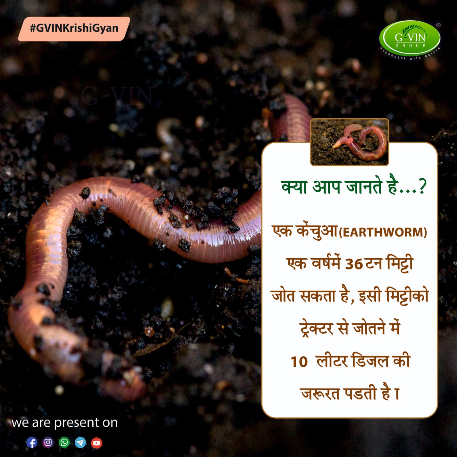 Gvin Group on X: Do you know.? A worm can cultivate 36 tons of