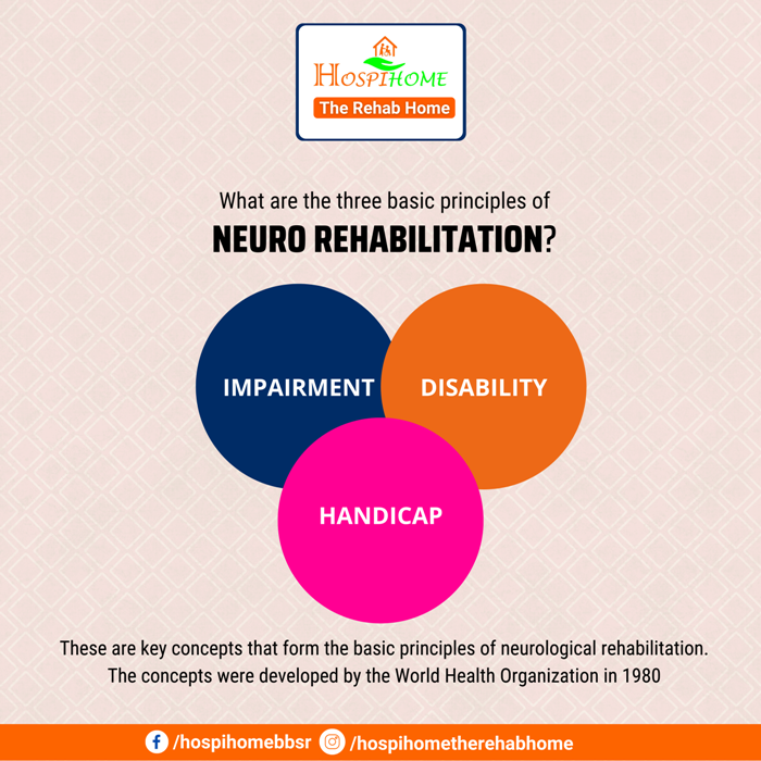 3 Rethien Principles What Are The Principles Of Rehabilitation