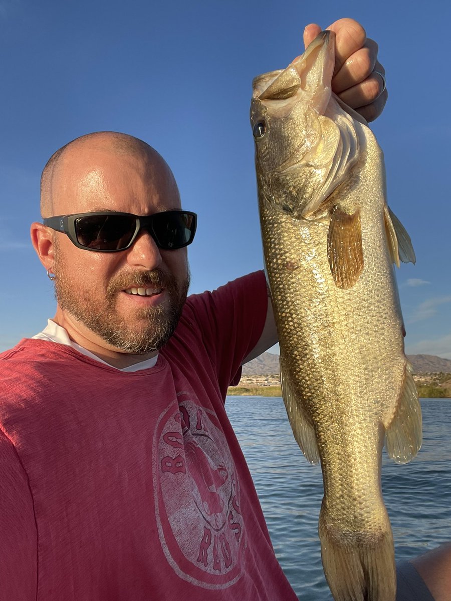 Malichaidog's tweet photo. Catching some bass #bassfishing #largemouthbass #havasu #lakehavasu https://t.co/bWOgoZV3lu