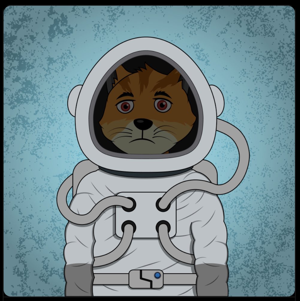 Woofmuff's tweet photo. New cute cats in my collection ❤️
@GataDaoZone @StargazeZone @ColonialCatsNFT 
Don't forget to get a new friend for yourself 
#MintYourGATA #888VoyagerCats https://t.co/3PxWCFLjfE