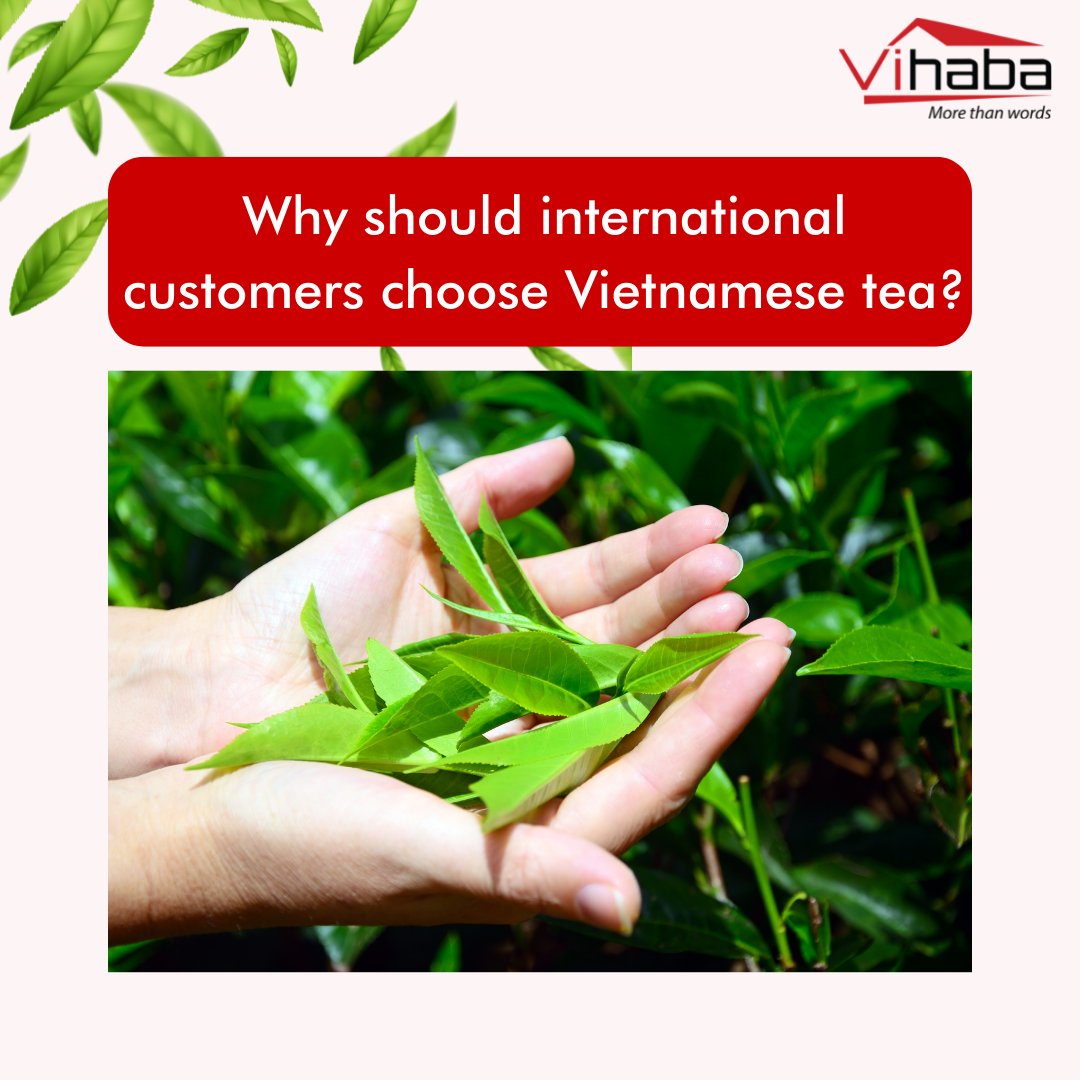 vihabavietnam's tweet photo. Why should international customers choose Vihaba to buy tea?
#teatime #tea #tealover #vihaba #vihabaexport #beyourrealpartner #vihabaproduct #drinktea #teaexporter #teaexport #drinkteaeveryday #internationalteaday #tealovers #matcha #harvest #teagreen #teagrower #vietnam https://t.co/23BhUoTpjH