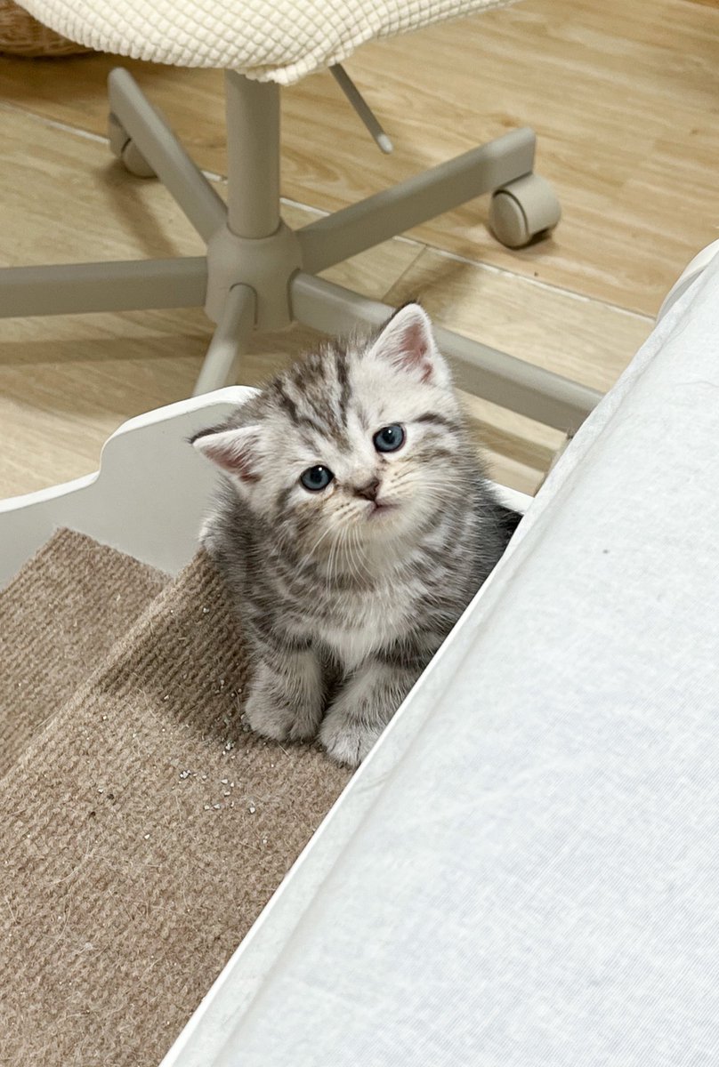 เมื่อบอกกี้ว่าห้ามขึ้นเตียงนะ!