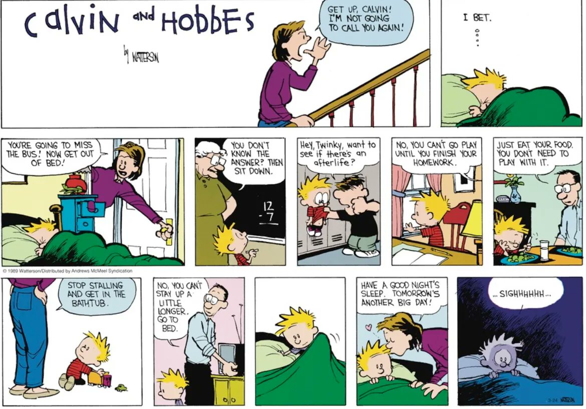 Calvin and Hobbes Fan Account tweet media