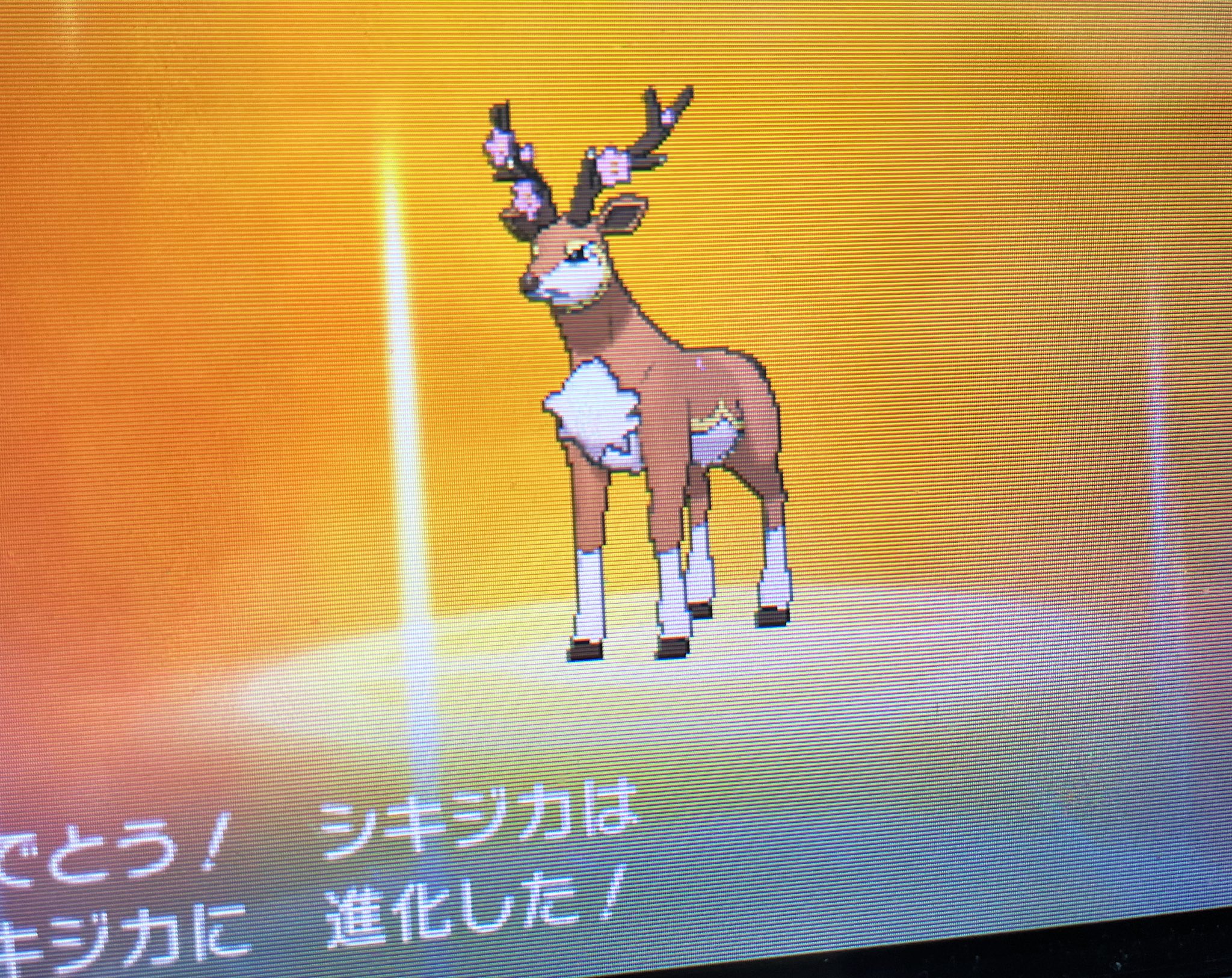モギ ちょっと留守 孵化余り194個目で2匹目来てくれたので 色メブキジカ夏へ進化 より夏らしいカラーだ モギの 色違い 色違いポケモン ポケモンsm T Co Zbgb4ls5s6 Twitter