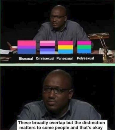 Todd_1117's tweet photo. @_oriose @Looby_Lake @KamexVGM Bisexuality is attraction to people of both similar genders and different genders.
Pansexuality means gender isn't a factor in attraction.
Some people pick the flag they like better.

The definition of bi has never excluded nonbinary or trans individuals. <3 https://t.co/3BgumjhrpW