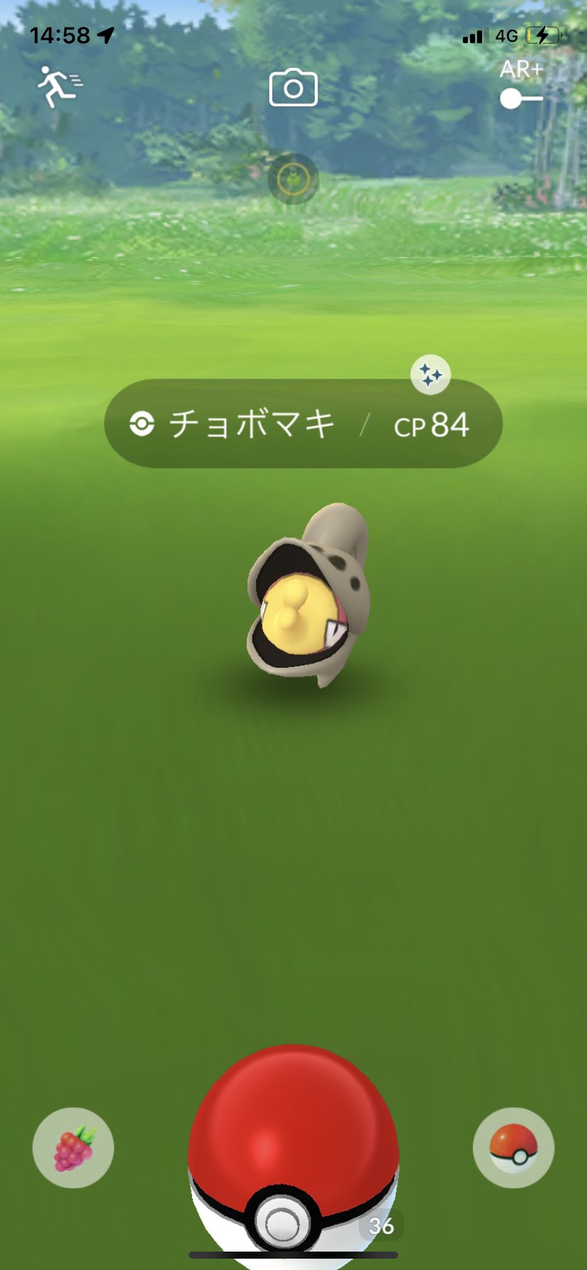 にゅき ポケgo 体感色違いの確率上がってる感じ全くしないけど ラッキーなことにチョボマキとドンメルの色違い出た ポケモンgoフェス Pokemongofest22 T Co A02ax03pin Twitter