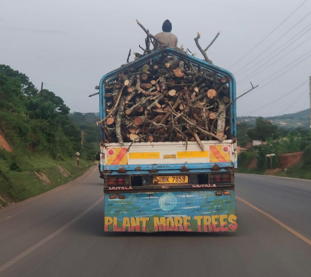 treesforlifeug's tweet photo. Caption this 🤔
#treesforlife #treesforhealth #protectthetrees #jenaherbalsug #misstourismteso https://t.co/KrP1EoRyoz