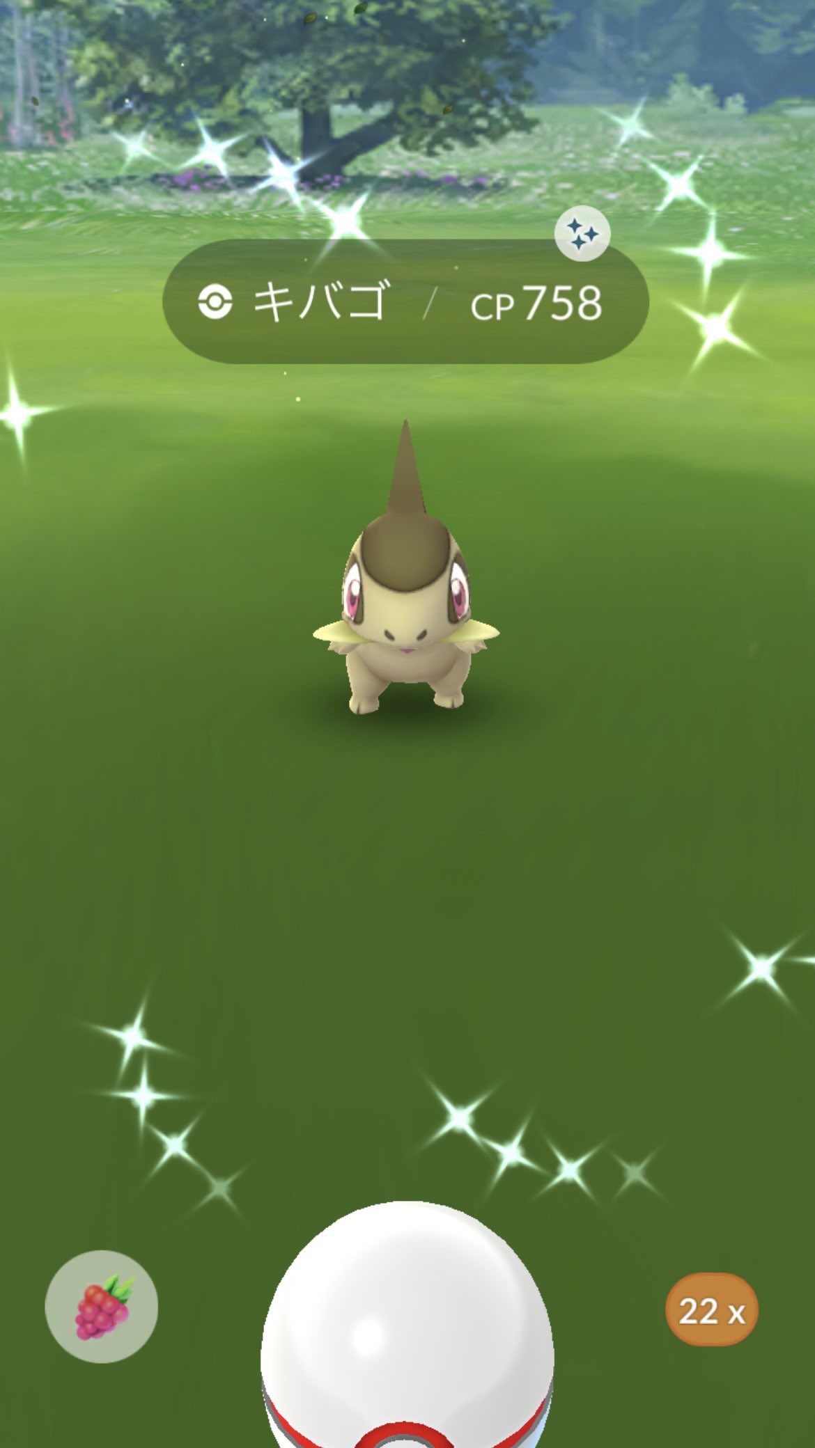 Gonyo Pokemon Go Fest 22に参加しました 初日は無事にお目当てのシェイミ トロピウス コータスを Getして 色違いは少数でしたがキバゴやピカチュウ などで良かったです ポケモンgo Pokemongo Pokemongofest22 T Co Evpkdksy48