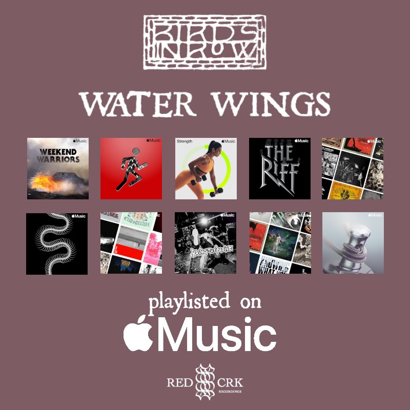 Red_crk's tweet photo. What a start for @wearebirdsinrow new single. Here’s some love from @AppleMusic https://t.co/XMFftXlkvL