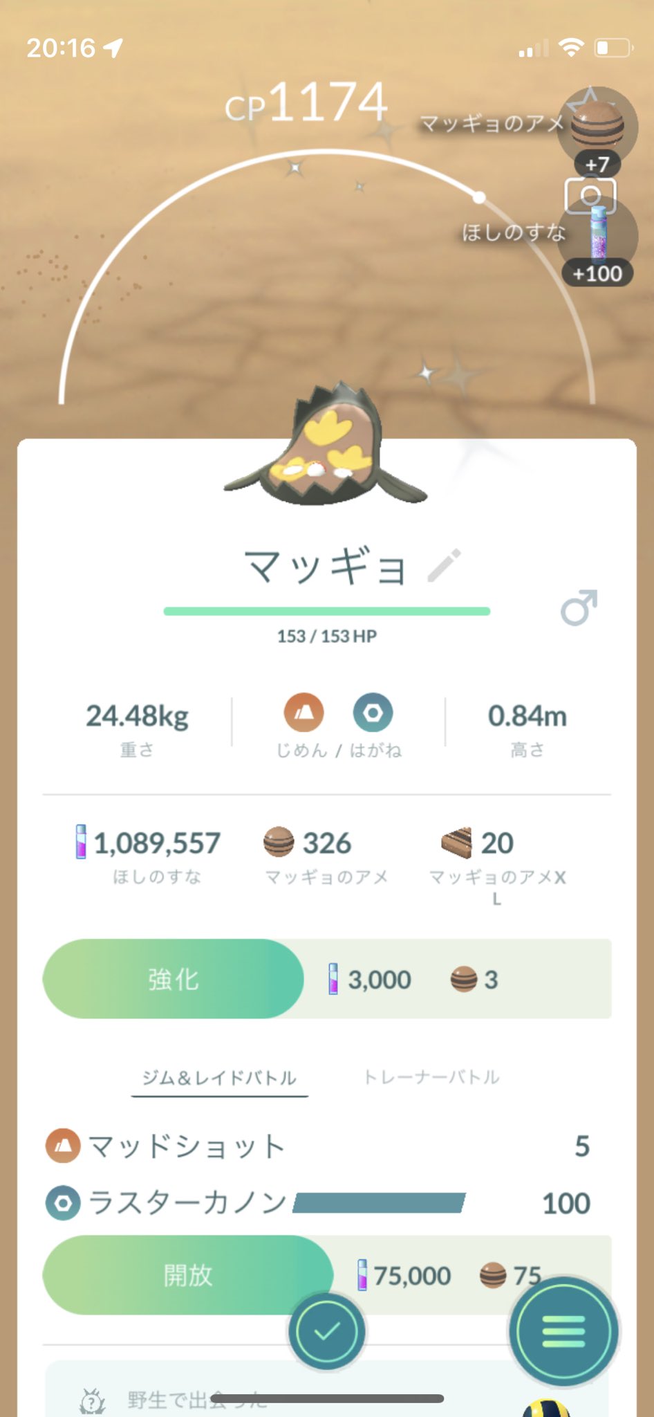Moga ポケモンgo フェスト22 始まりましたね コータス 初ゲット 色違いちゃん達もちょこちょこ出てくれて嬉しい 明日でイベントタスク終わらせたい まずはお疲れ様でした ポケモンgo T Co Ggrvov2ox0 Twitter