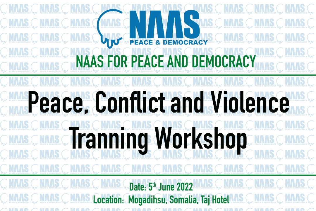 Naas For Peace & Democracy tweet media