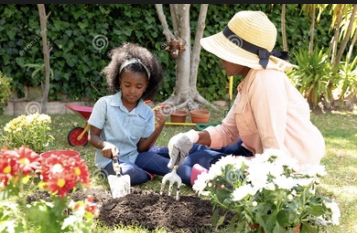 patientispard's tweet photo. What if we said “grandma of 10 and avid gardener” rather than “bed 6?” What if we added picture that comes up when put in medical notes in charts? #humanizemedicine #carefulandkindcare
#patientquestionologist https://t.co/doEUlKmZHn
