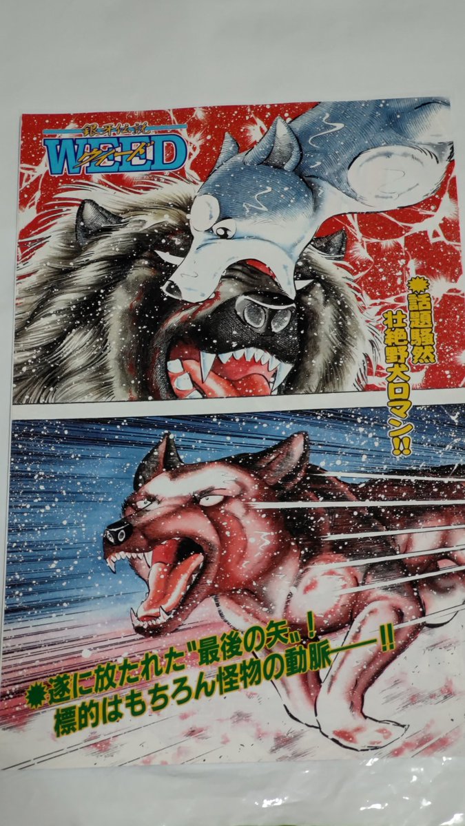 銀牙伝説WEEDのゴラク連載中の、 巻中カラーですね〜🤗 ジェロ