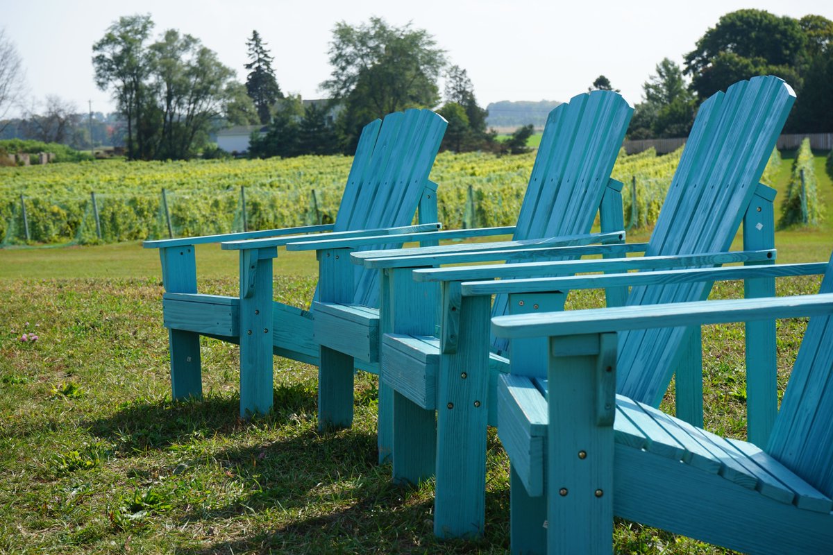 Parallel44's tweet image. 🏃‍♀️🏃‍♂️ Grab your group and RUN, not walk, to our tasting room for a fun adventure and tasting of MOST AWARDED Wisconsin grown wines.🍷 ☀️44wineries.com #doorcounty #wisconsin #greenbay