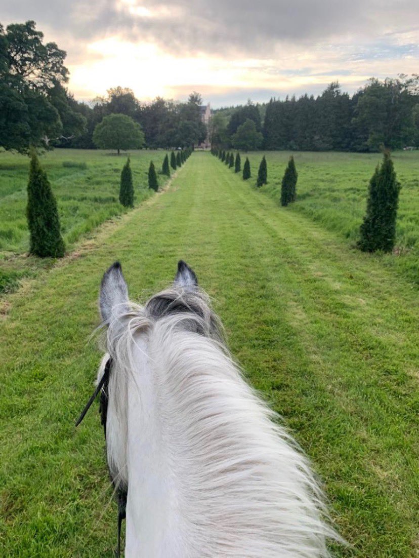 CraigyFerg's tweet image. Cleared for take off.