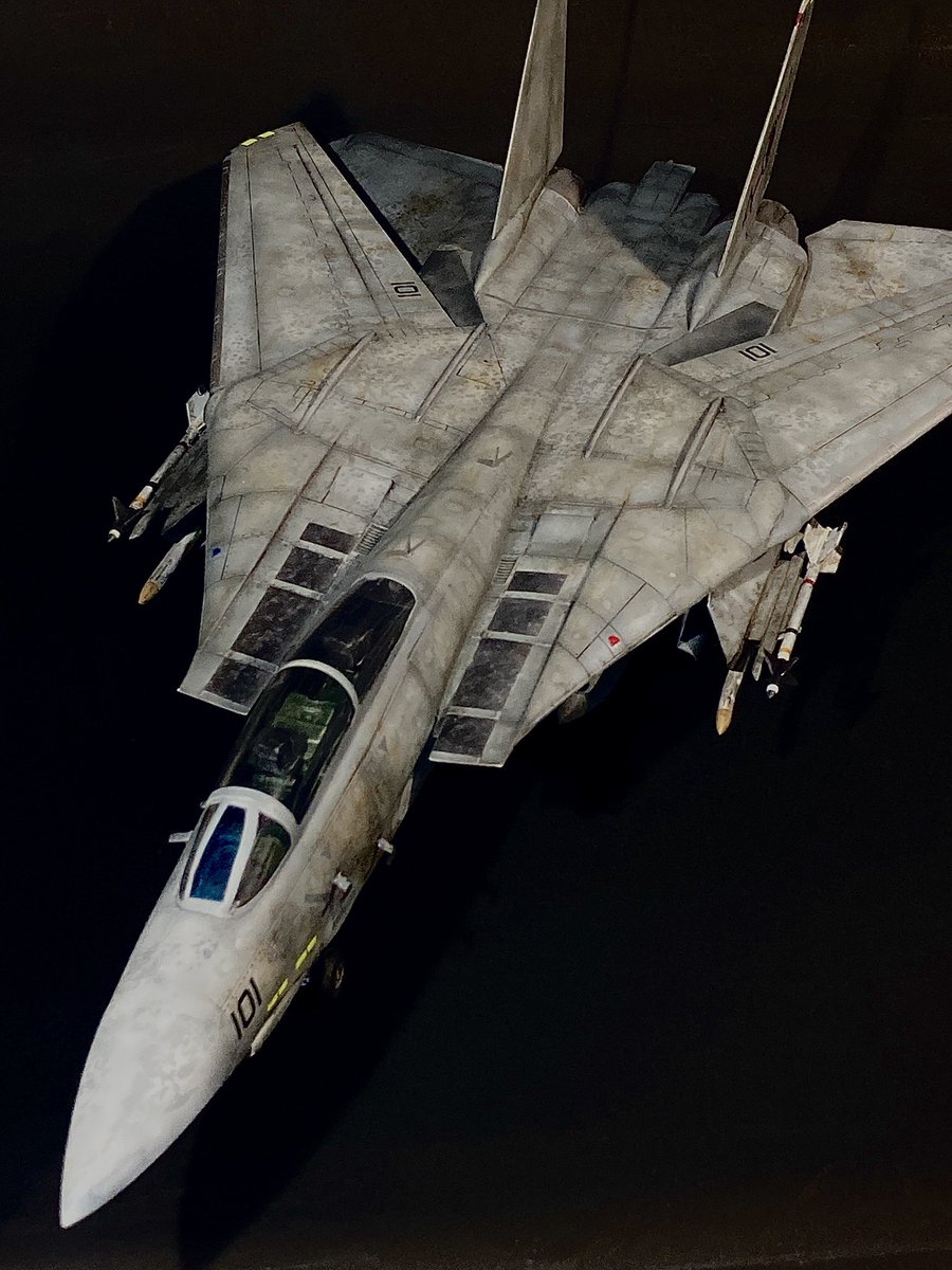 Aki S009 イタレリ1 48 グラマンf 14 全くもってフォトジェニックな飛行機ですな トムキャットは 誰もが カッコいい って思っちゃうそのデザインは秀逸 その分模型を作る時は手がかかるんですけどね 大好きな飛行機です トムキャット トップガン