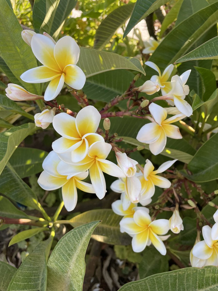 La natura dona la sua bellezza gratuitamente a chi sa osservare