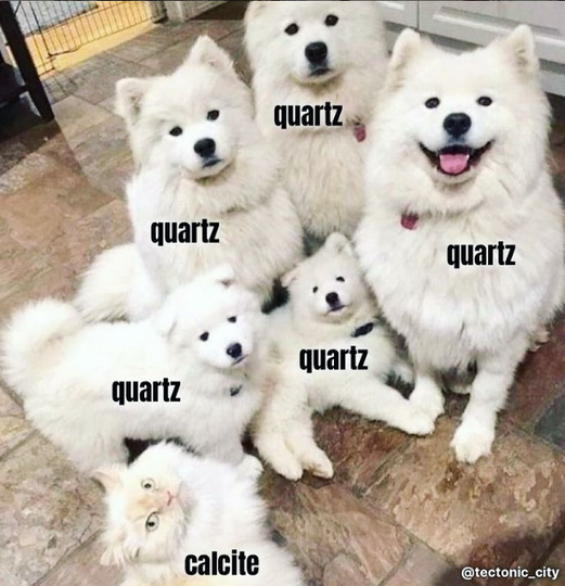 Geology student will understand ...
🐶🐱💎