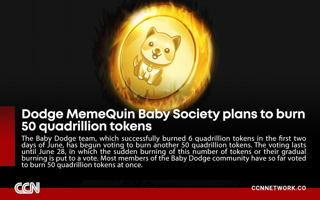 CCN.network (@ccnnet) on Twitter photo 