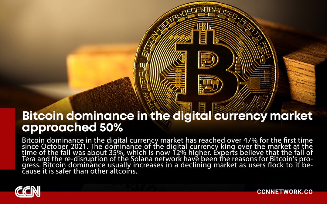 CCN.network (@ccnnet) on Twitter photo 