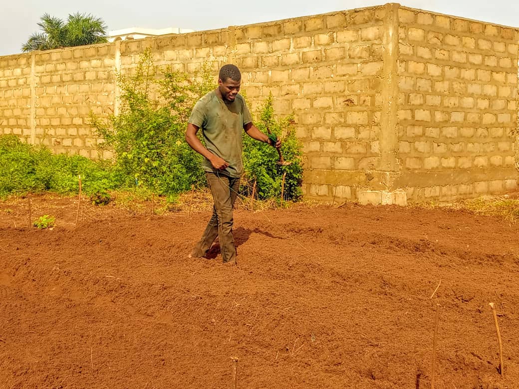 🌱Votre producteur de légumes Bio🇧🇯 tweet media