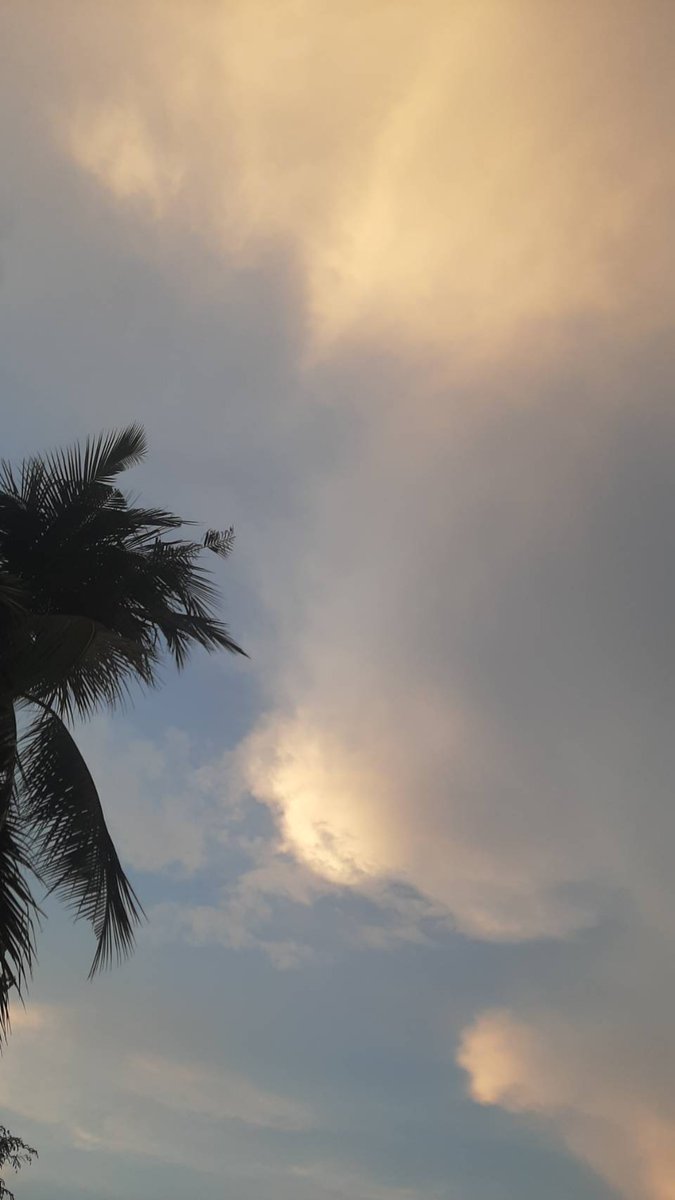 ACHI (@usersachx) on Twitter photo 