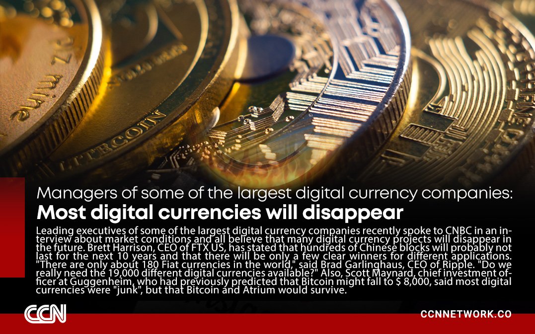 CCN.network (@ccnnet) on Twitter photo 