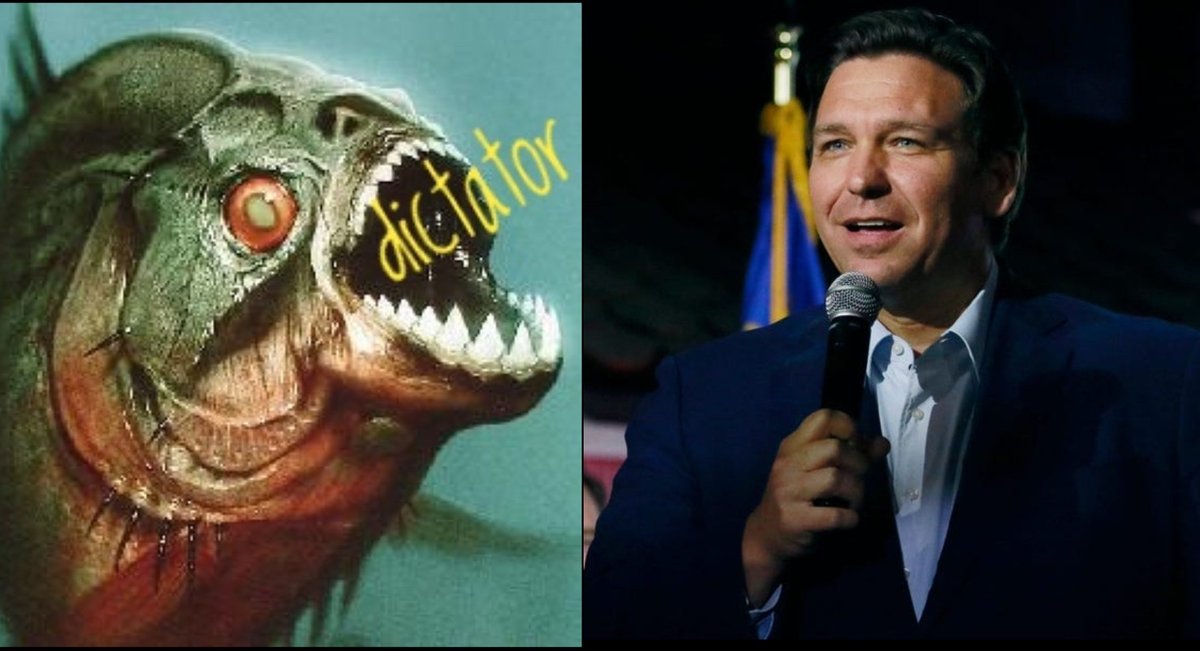 mz55qrf's tweet photo. @PutinIsaKiller @CharlieCrist @RonDeSantisFL Nasty Dem flesh eaters can mouth off but they can't touch him.
Big talking cheapskates don't give their pathetic candidates any money.
#Ronrules https://t.co/0nqRXlmDuv
