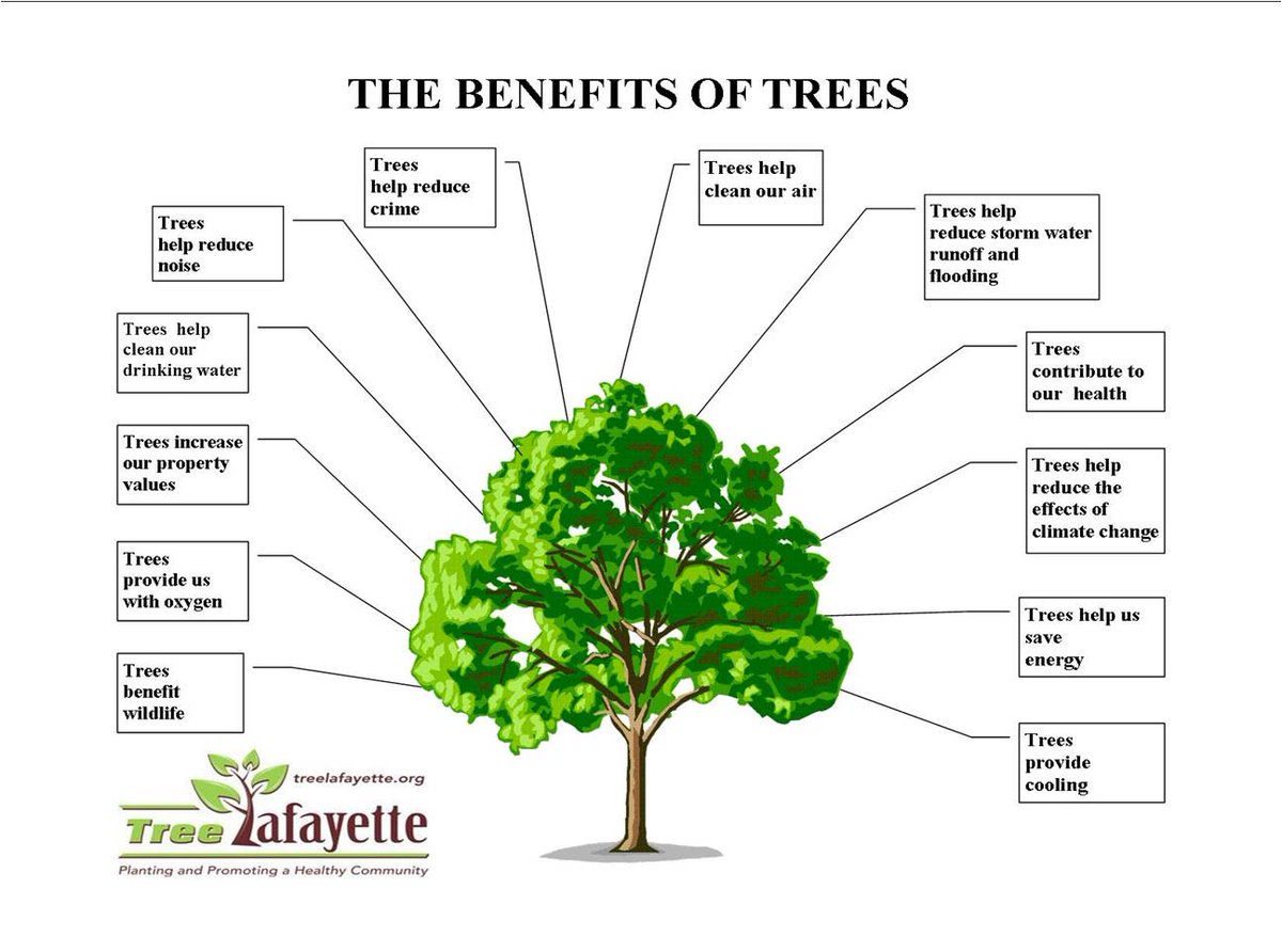 The Benefits of Trees.Let us all celebrate #WorldEnvironmentDay tomorrow. #SaveEnvironmentSaveLife #OnlyOneEarth #YouthForEnvironment 
@Nyksindia @NyksRd @NYKS_RD_Delhi @YASMinistry @arunednyks @nykskarnataka @NyksSpecial @UNEP @moefcc