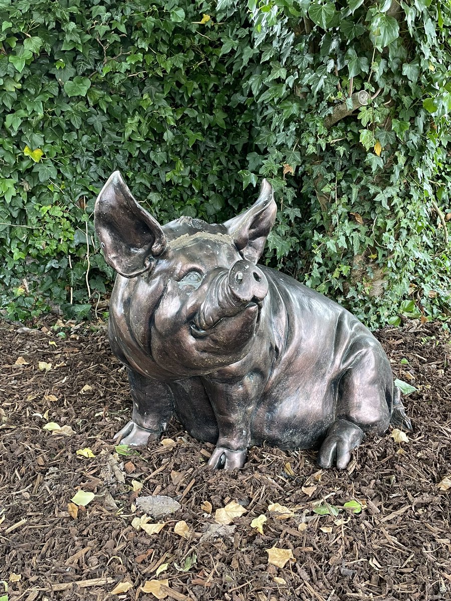 Ali Bolton tweet media