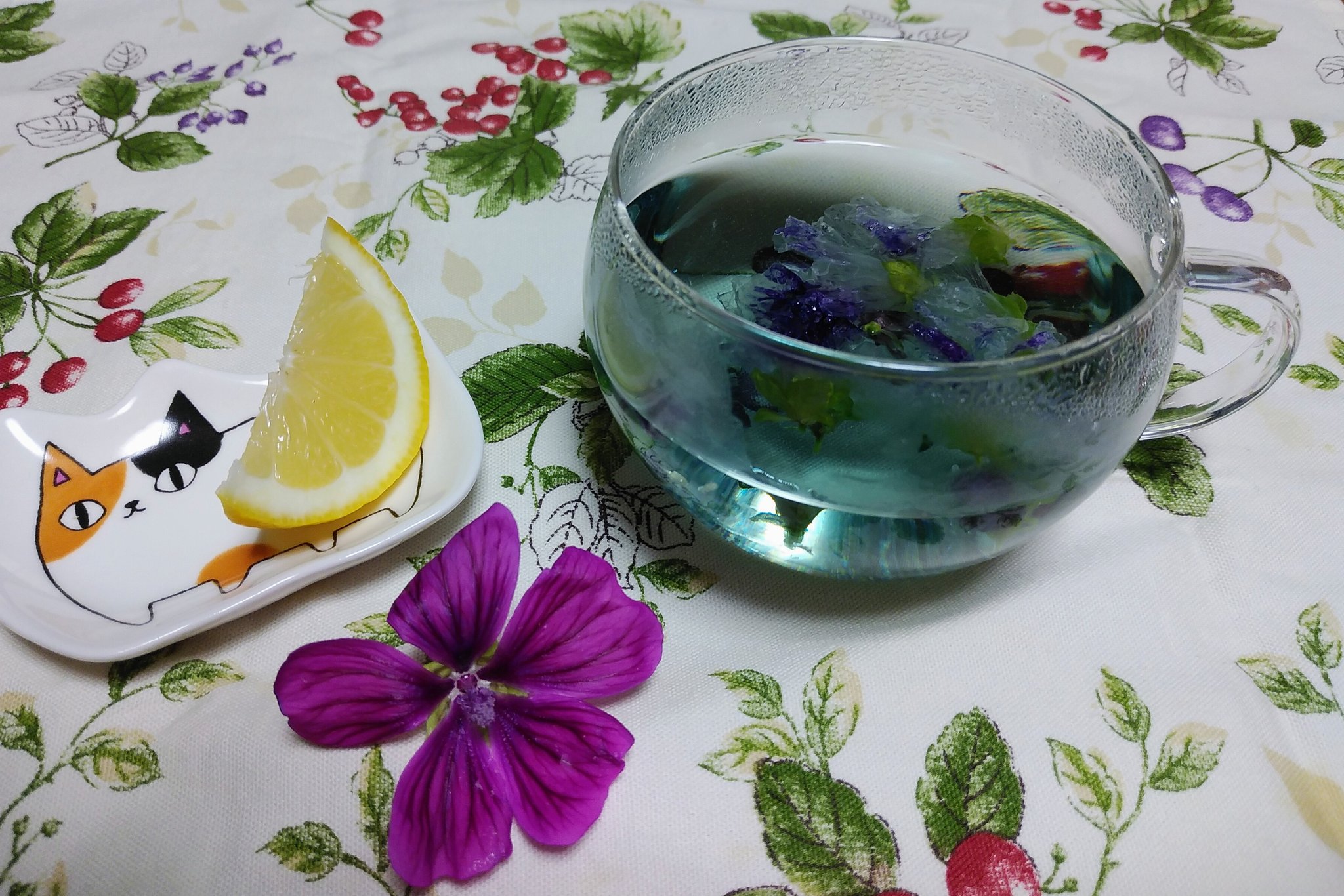 ミセス銀子 そんな訳で乾燥したコモンマロウの花にお湯を注いだら その瞬間から薄い水色が溶け出し 次第に花から色が抜けて行った なら花を沢山入れたら青は濃くなるかな とりあえずレモンも絞って色変もしてみた ちなみに味や香りはまぁ 草だよね