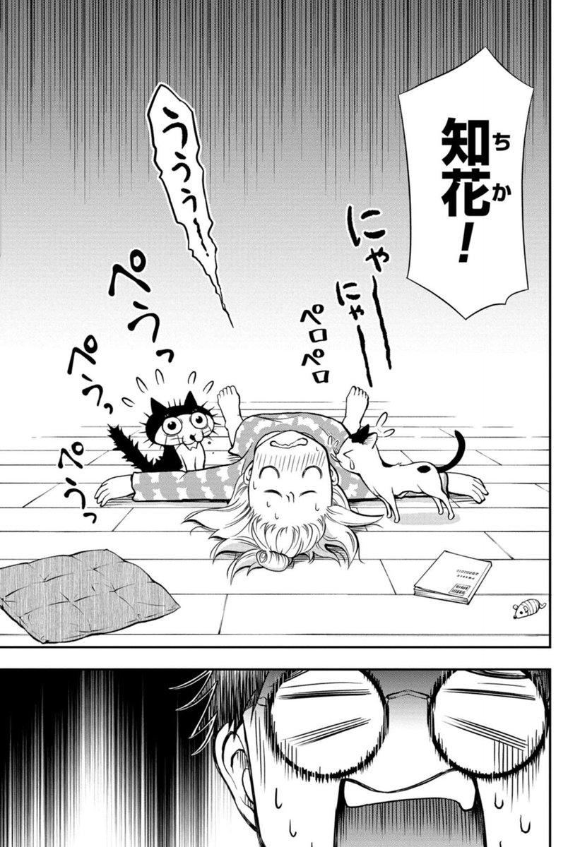 (2/8)