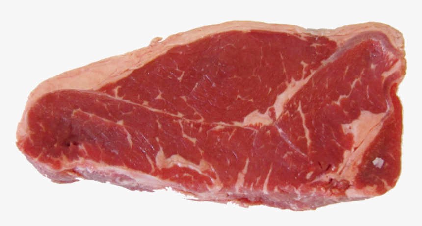 jaaztime's tweet photo. * من أعنيه يعرف نفسه جيدا *
💥 رسالة إلى #SteakFace:
- سيذوب الشحم يوما.
#تعليق_جانبي:
😂😂 https://t.co/h4Exgb6jC6