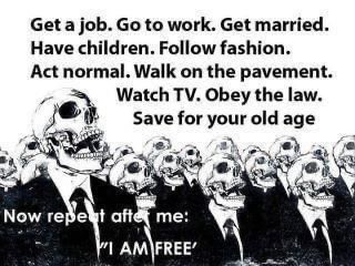NoOneWorldOrder tweet picture