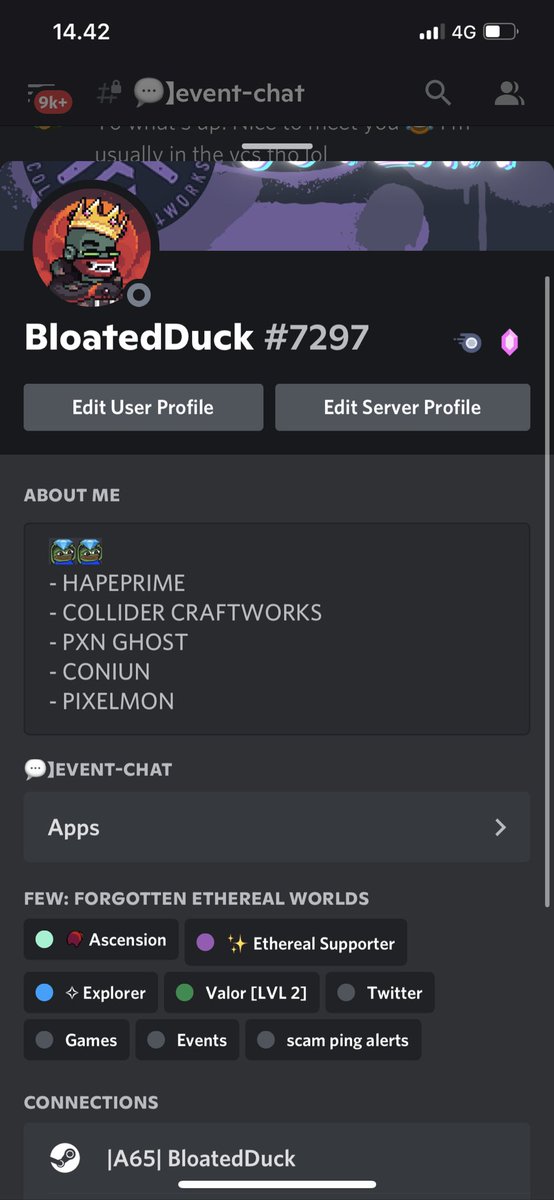 BloatedDuck tweet media