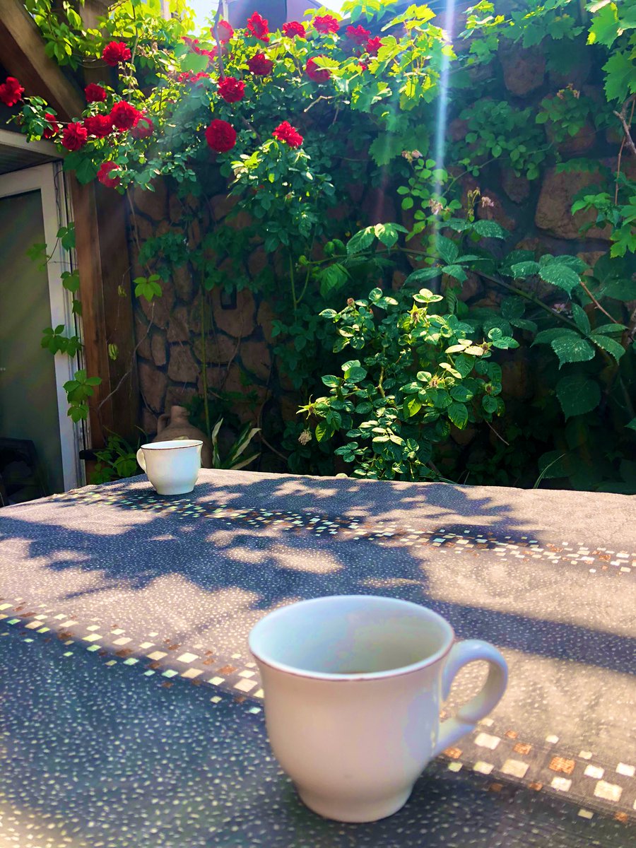 Derya (@derya23320610) on Twitter photo 