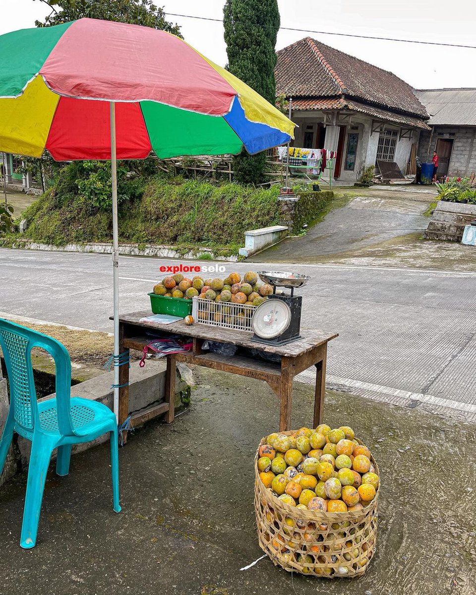 BoyolaIi_info's tweet photo. sampean pernah nyoba lur??
Lokasi : Dukuh Gebyog Desa Selo - Desa Samiran Kec.Selo Kab.Boyolali.
video explore selo
#dukuhgebyog #desaselo #desasamiran #kelilingselo #selo #exploreselo #dolanselo #boyolali #jawatengah #indonesia https://t.co/diMr1wLpfP