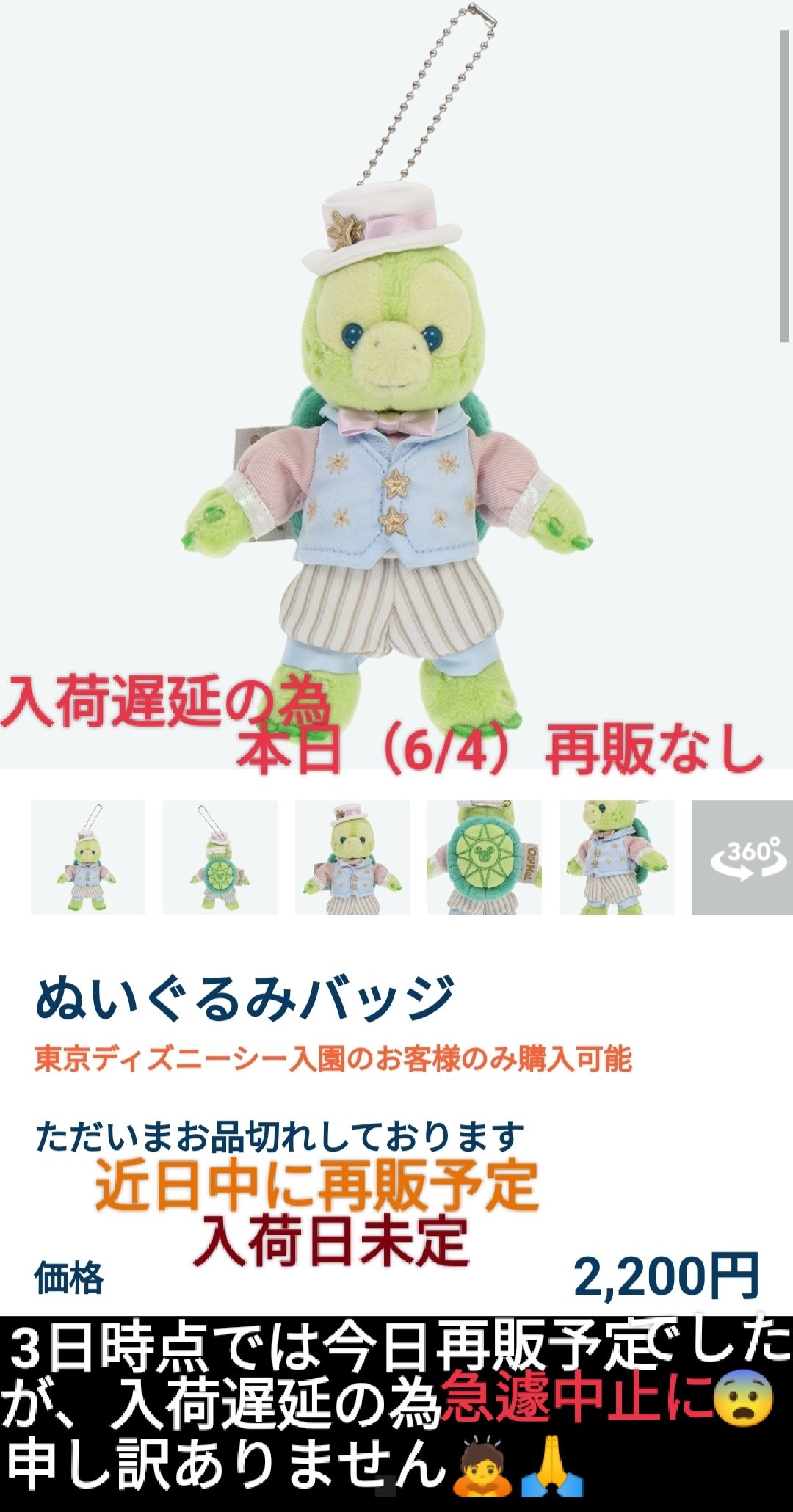 Tdr ディズニー ぷらん お詫び 本日再販なし オル ぬいば 入荷遅延の為 近日中に販売予定 ダッフィー スターリードリームス オルメル ぬいぐるみバッジ 品切れ シー周年 グランドフィナーレ グッズ ピンバッジ ミッキー キーチェーン 海 周年 ヘアゴム