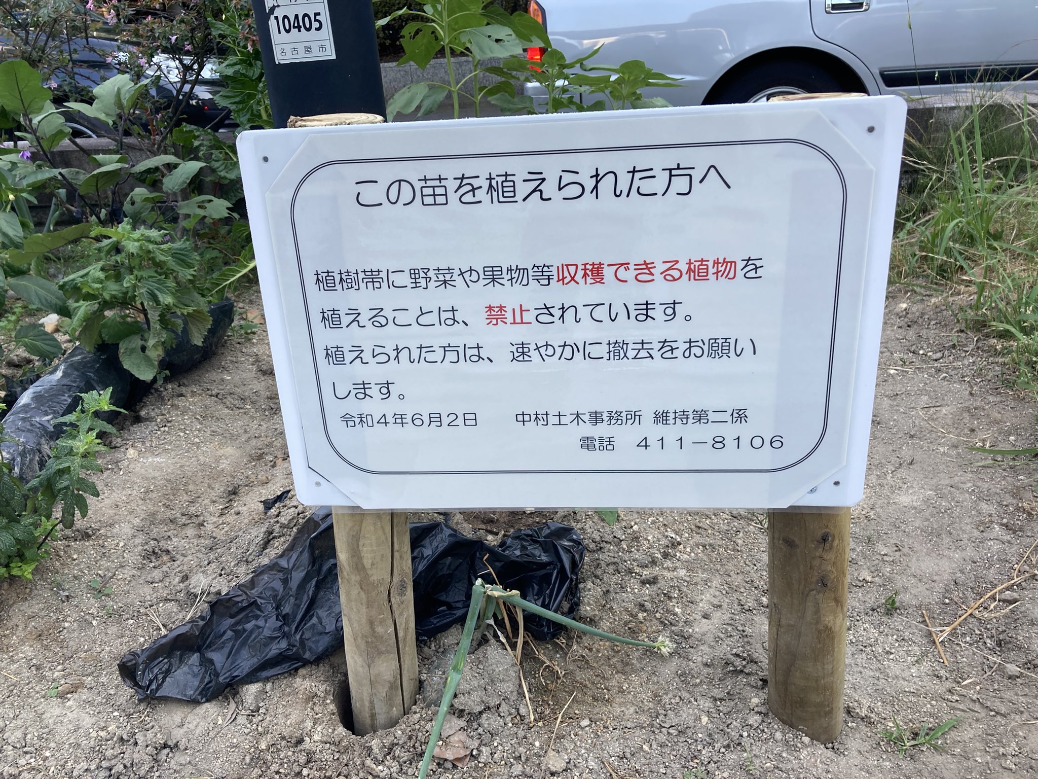 輝いていたい 名古屋駅前の花壇勝手に野菜植えられてるのオモロ T Co W9vc6ihlld Twitter